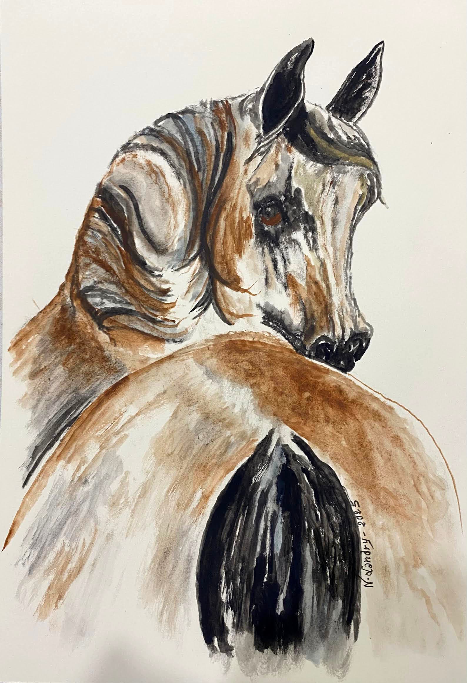 Portrait de Cheval Arabe