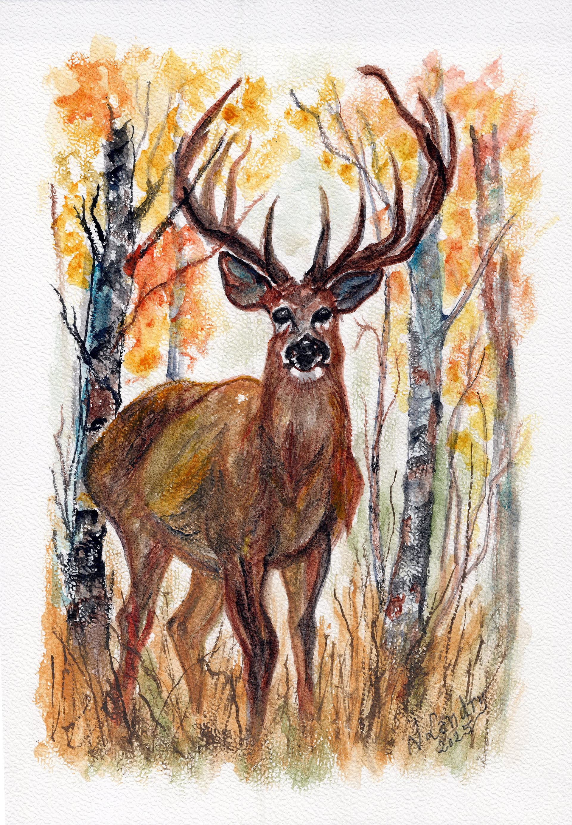 Cerf Forêt d'Automne