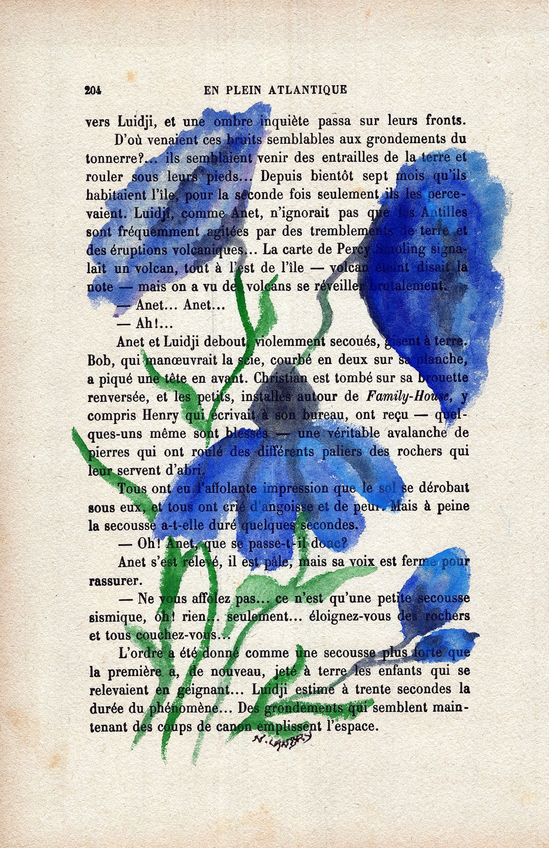 Blue and Green Parrot on Book Page