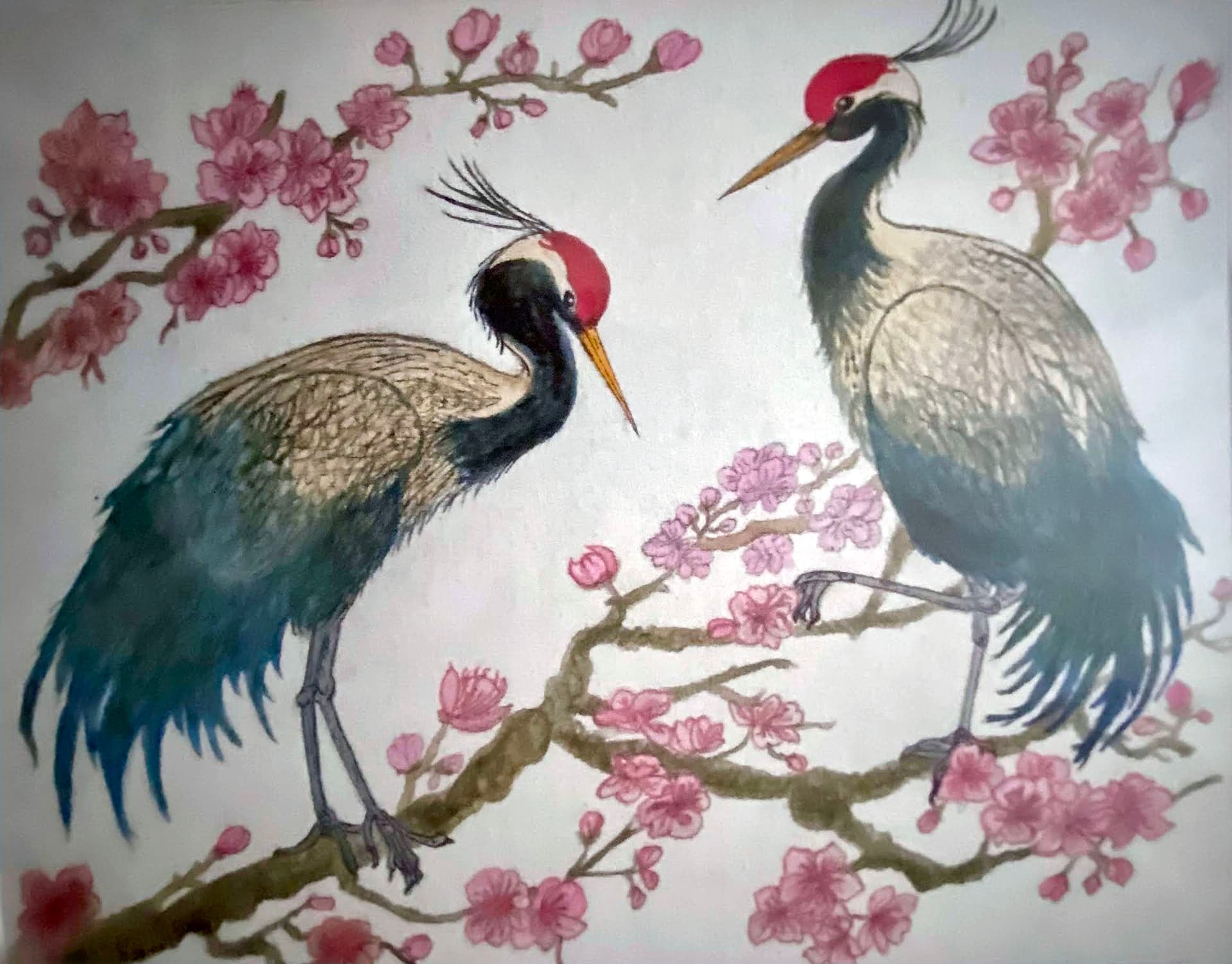 Cranes with Cherry Blossoms
