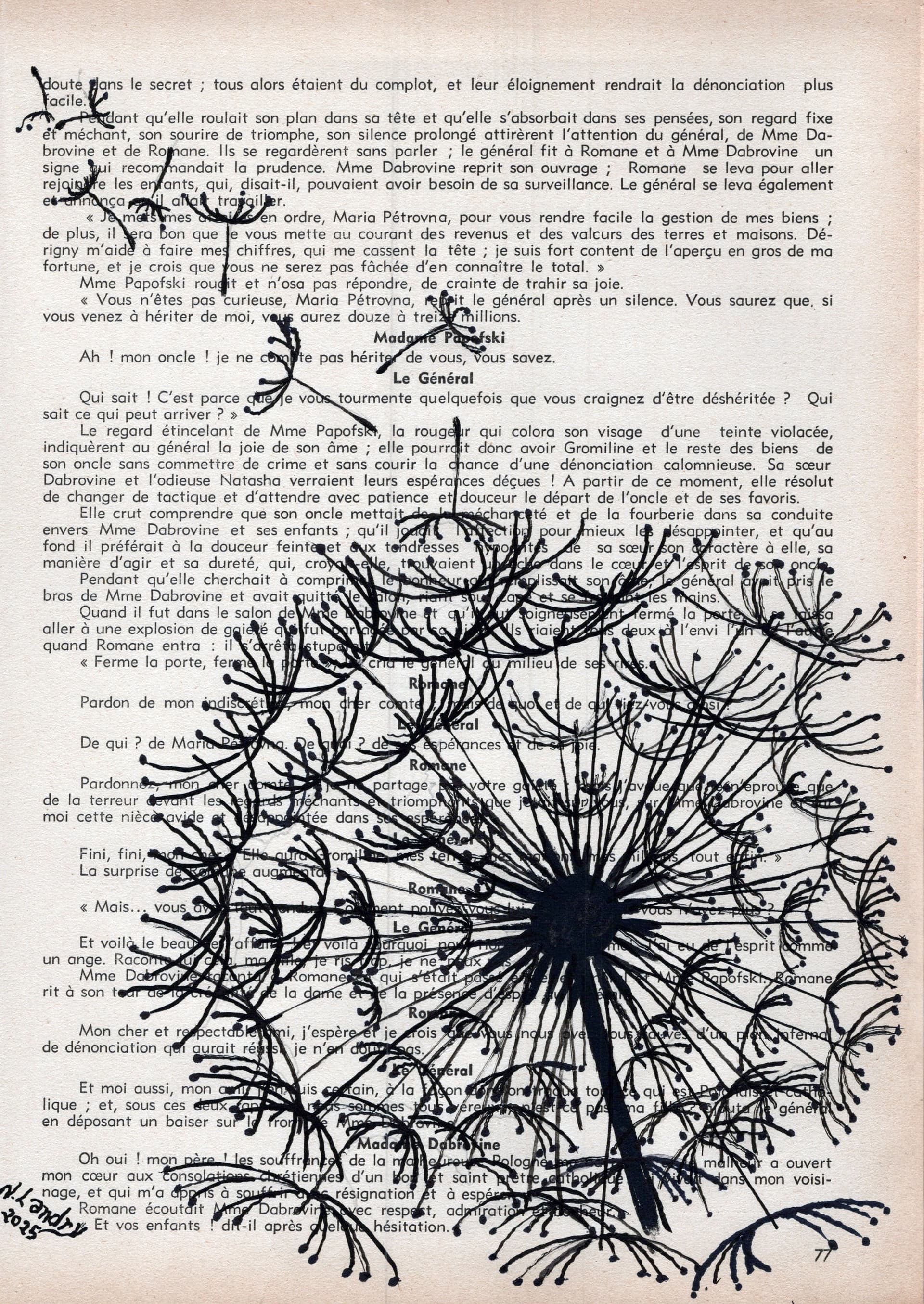 Dandelion Seeds on Black Book Page