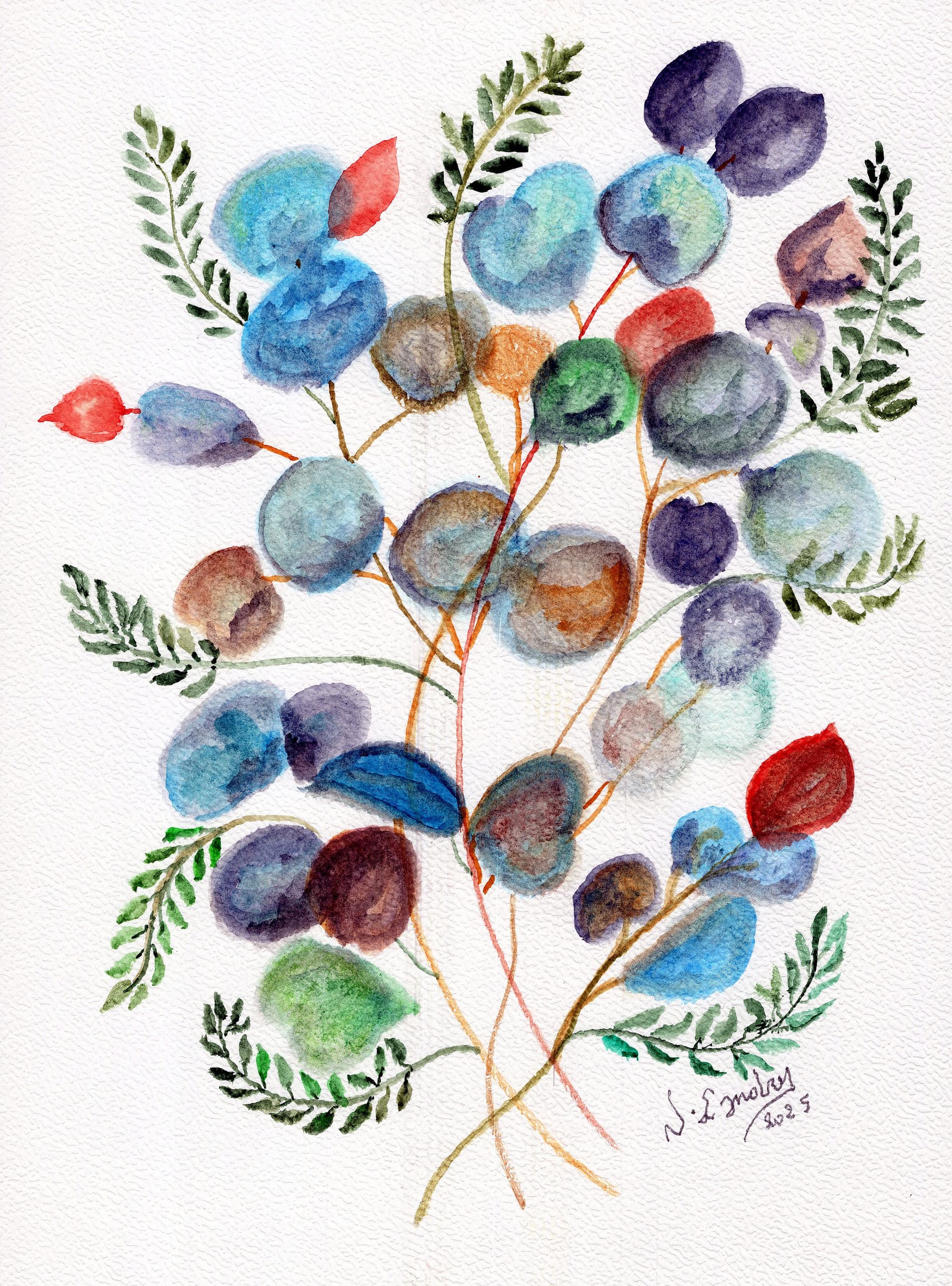 Cotton Flower Study