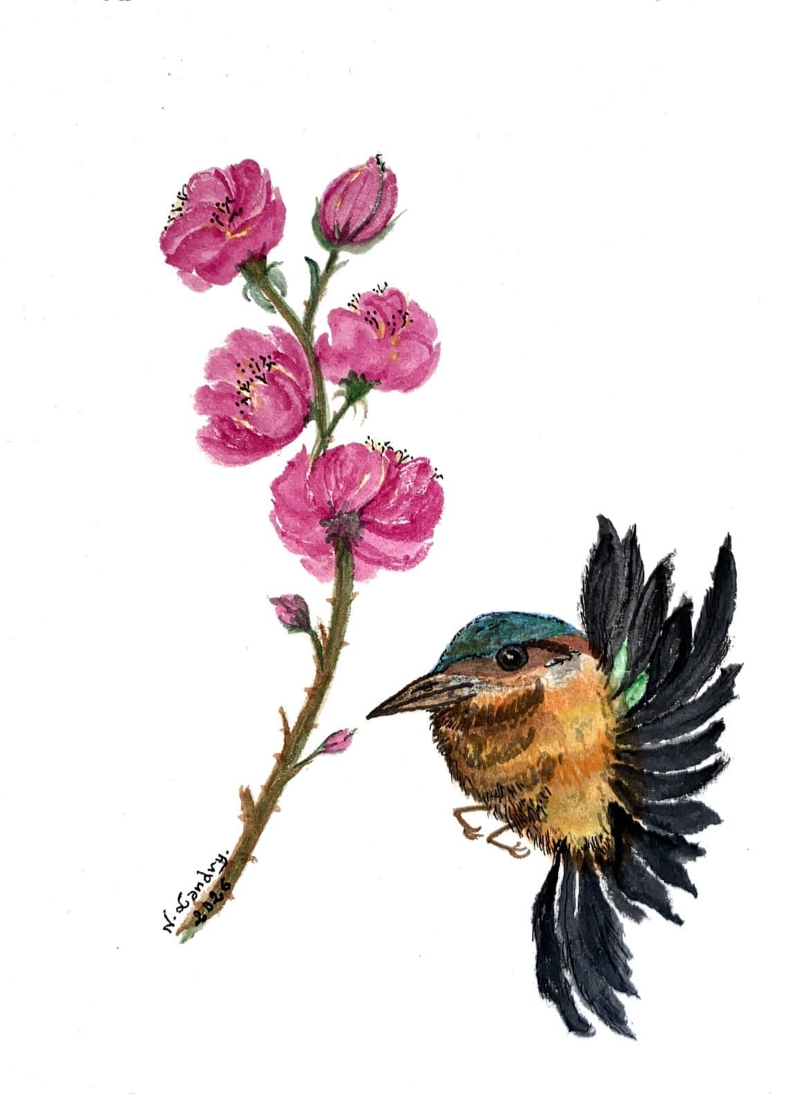 Bird in Flight beside Pink Blossoms