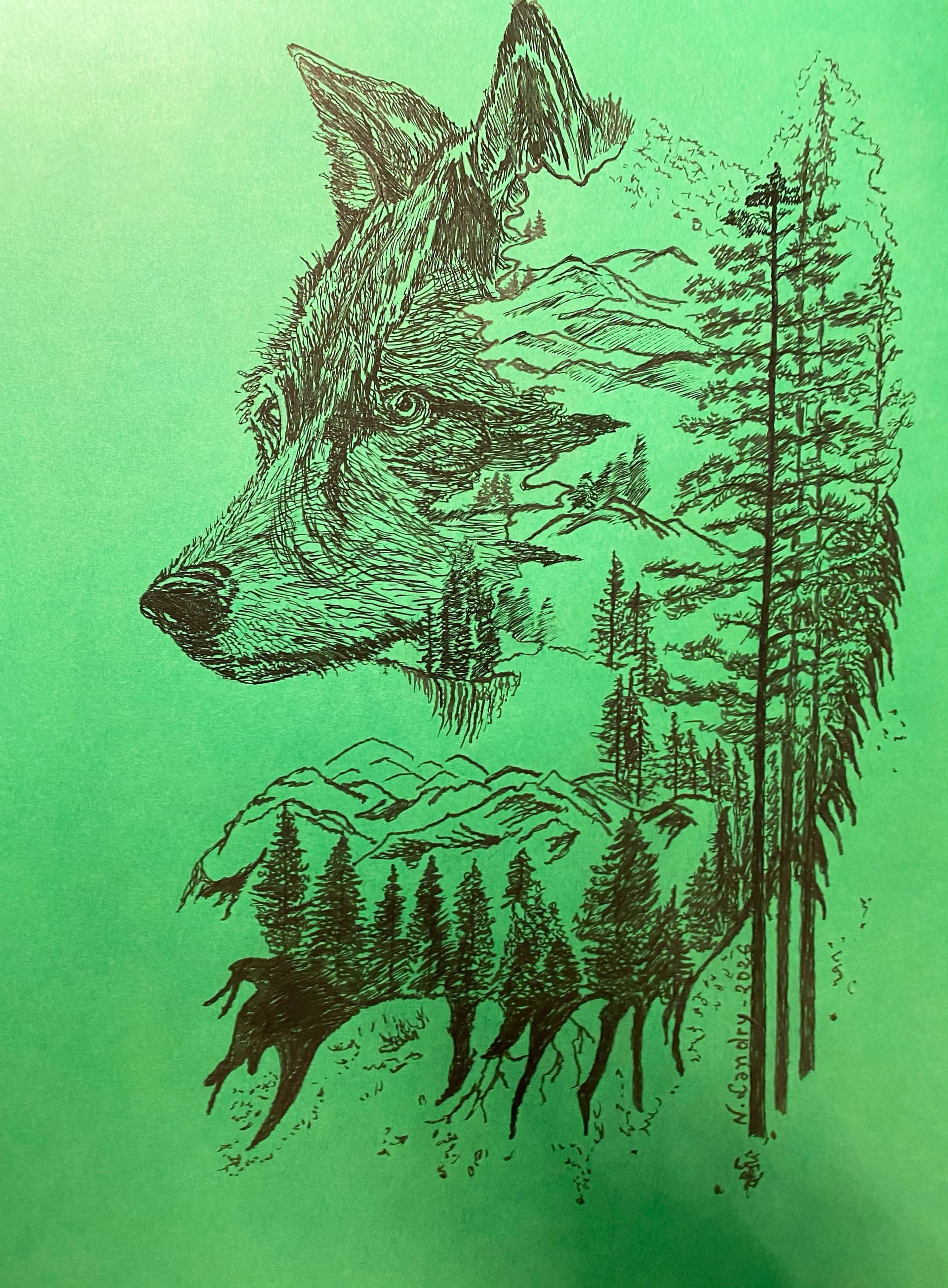 Wolf Head in Mountains and Pine Forest