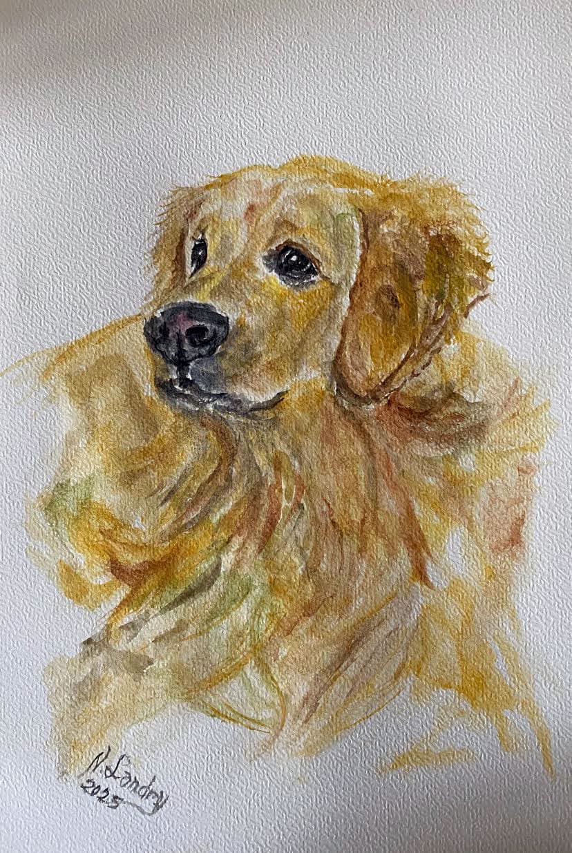 Golden Retriever Dog Portrait