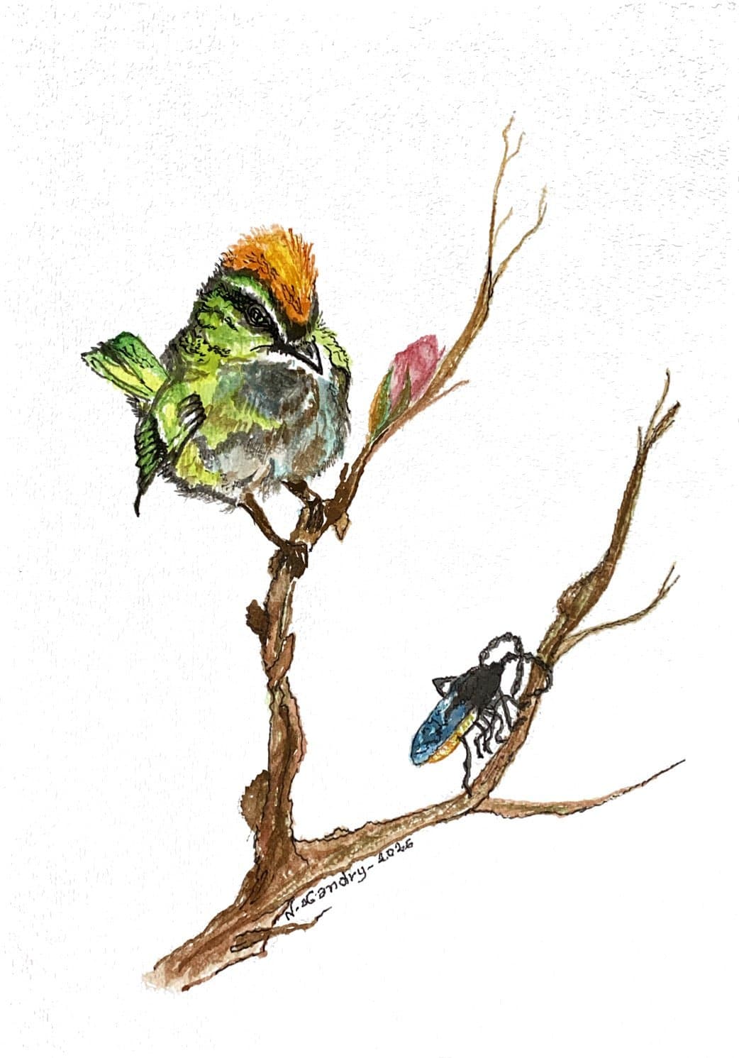 Green Bird and Beetle