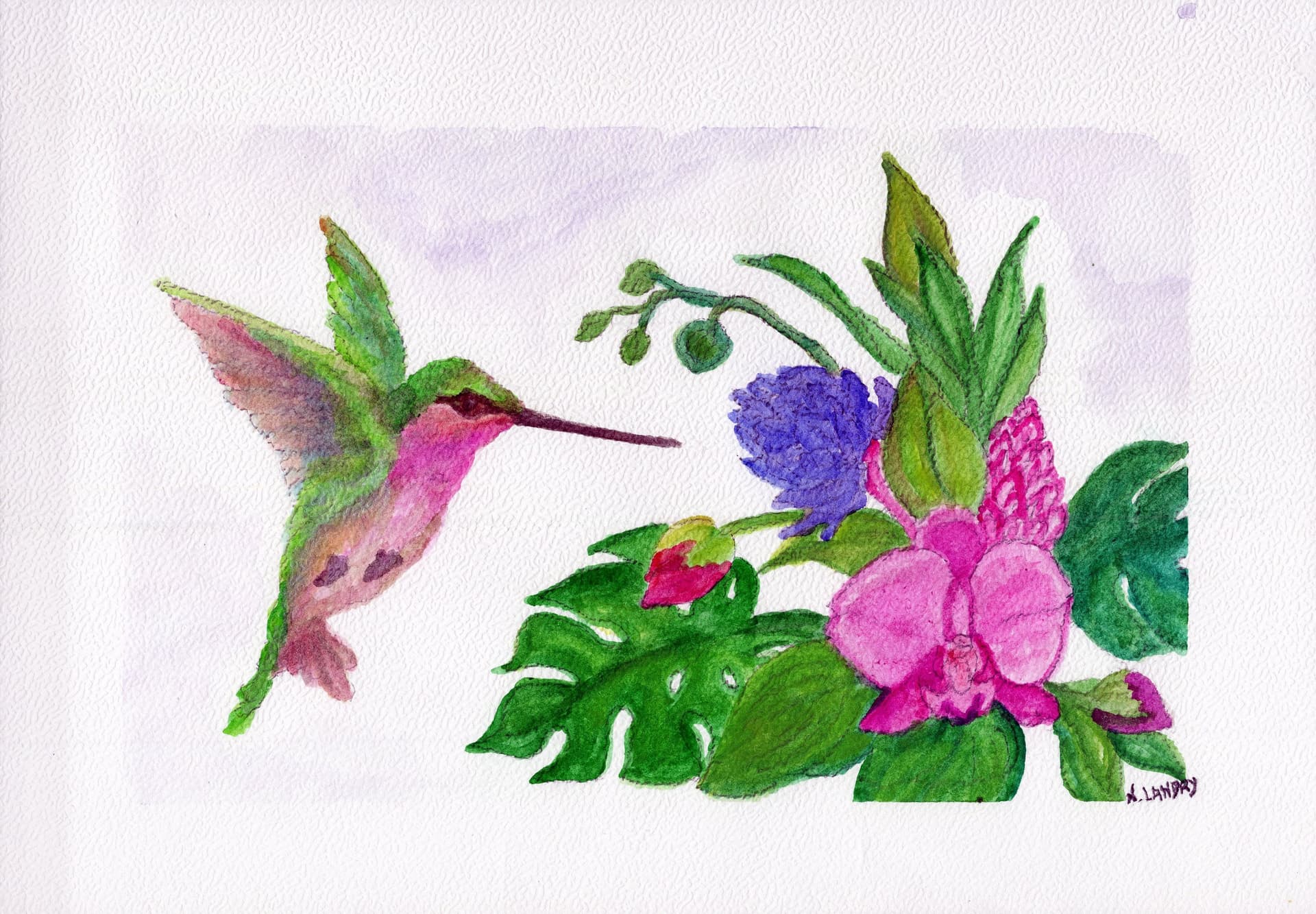Hummingbird with Tropical Flowers