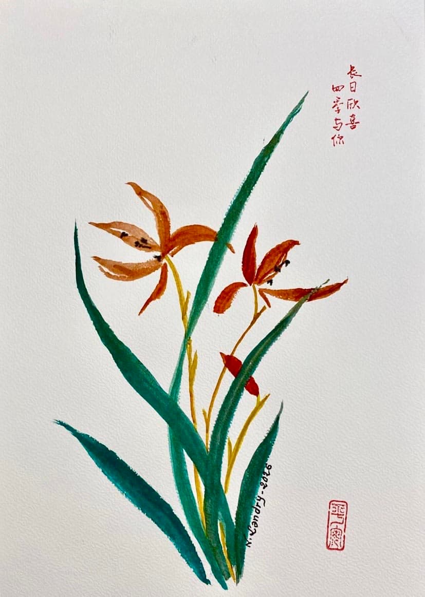 Orange Daylilies