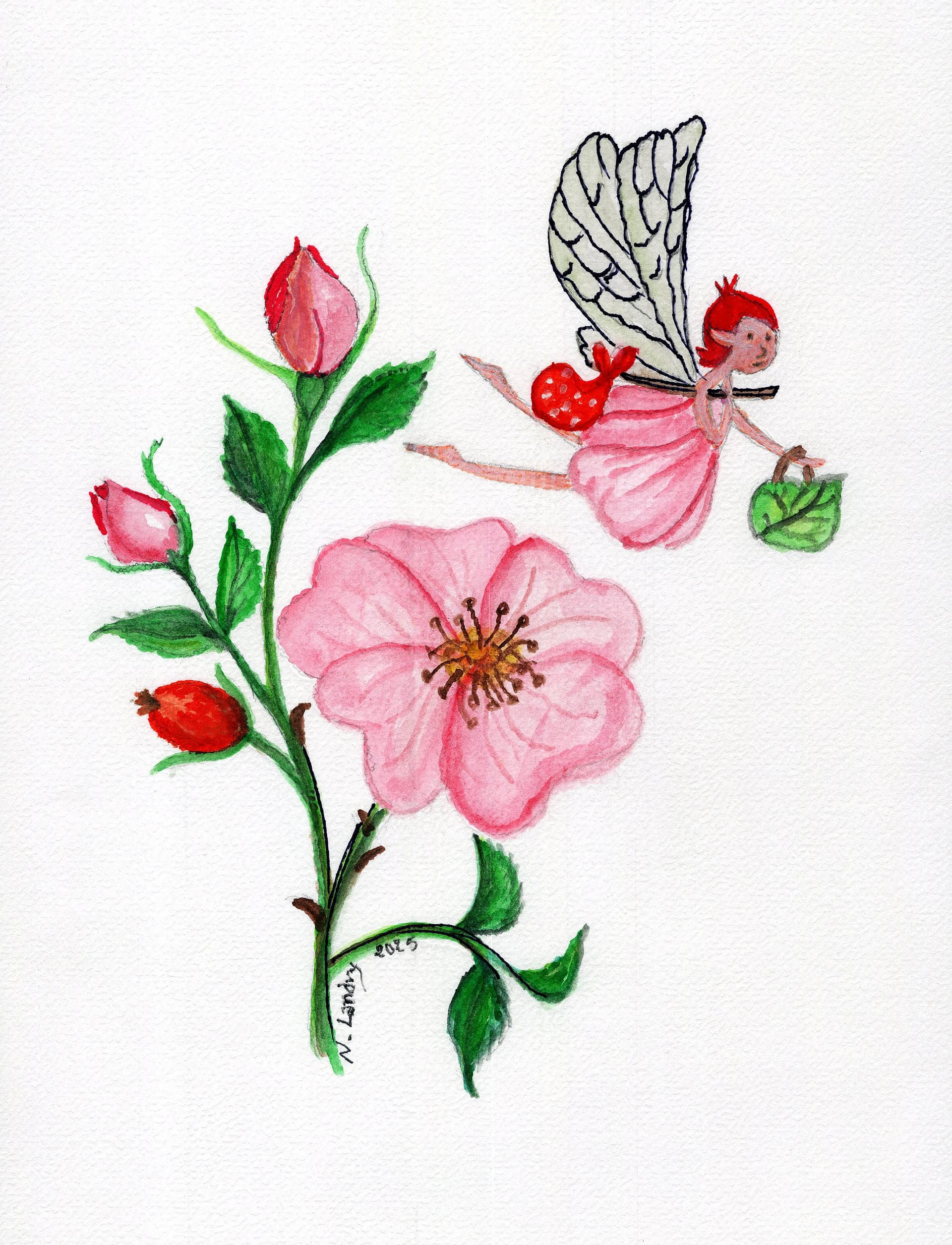 Roses with Fairy