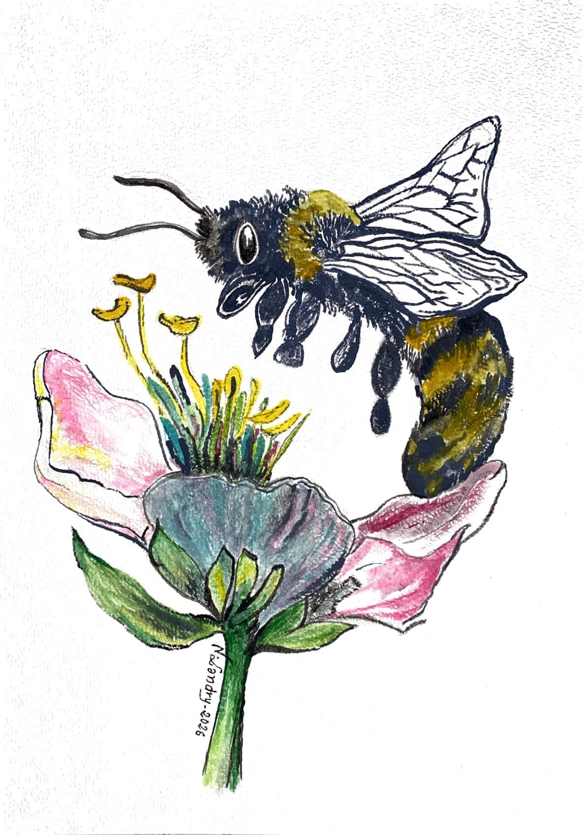Bee above a Pink Flower