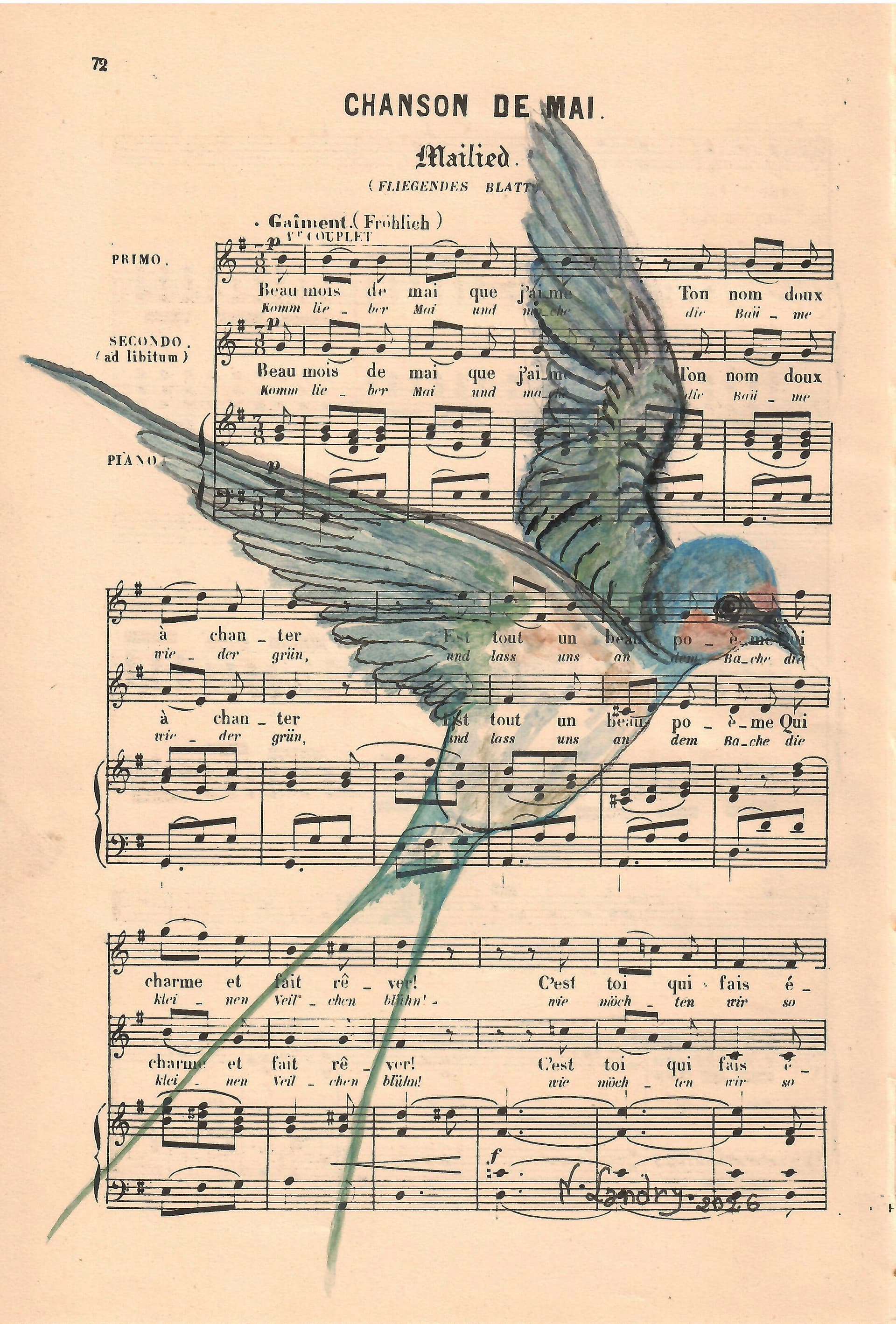 Swallow on Sheet Music